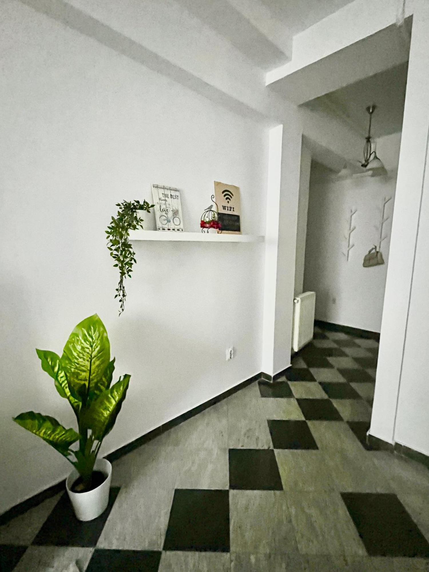 Victoriei Spacious Studio Bukarest Exterior foto