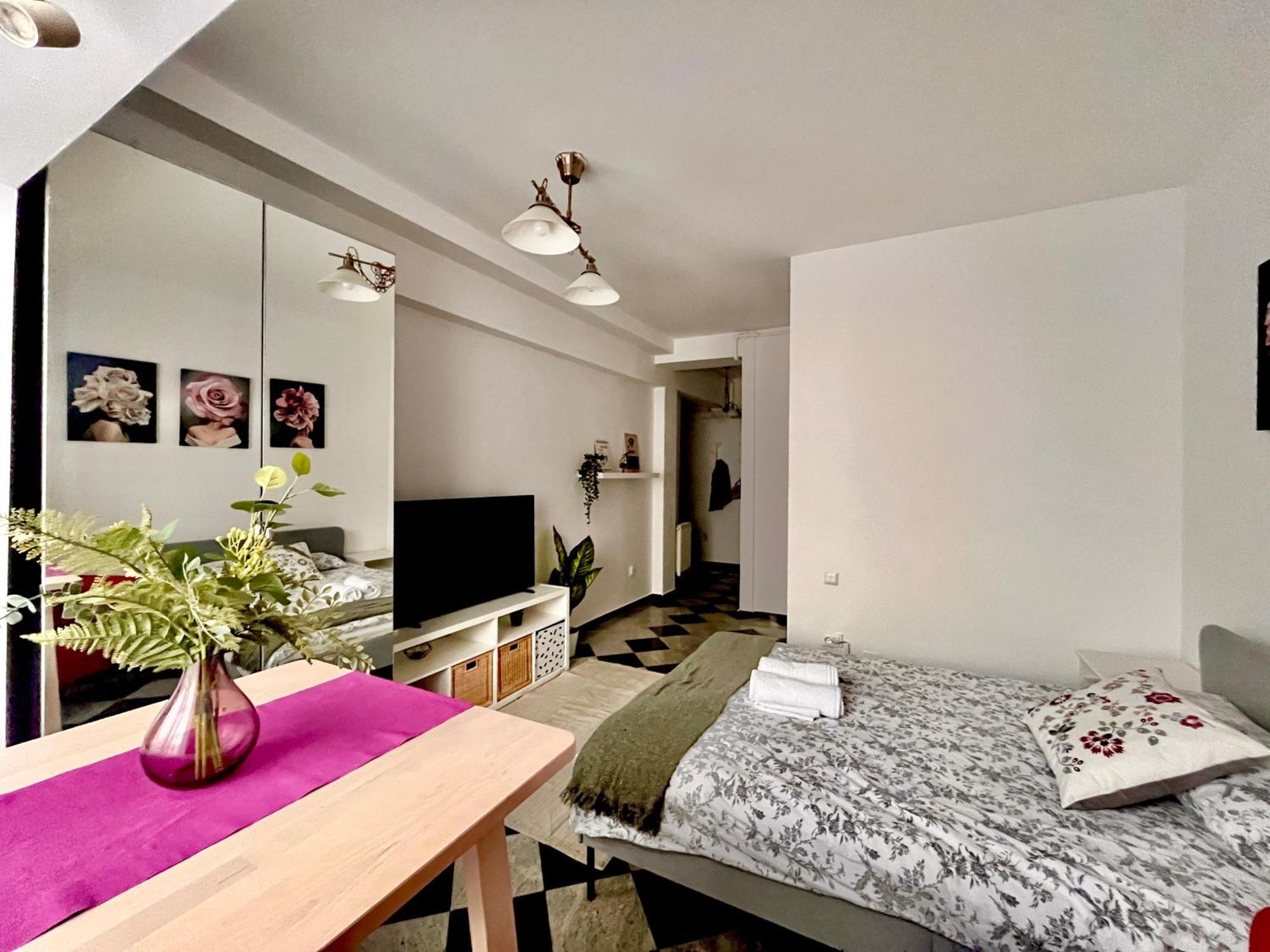 Victoriei Spacious Studio Bukarest Exterior foto